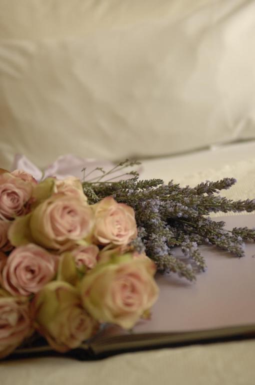 Hotel Mare Hamburg Bilik gambar